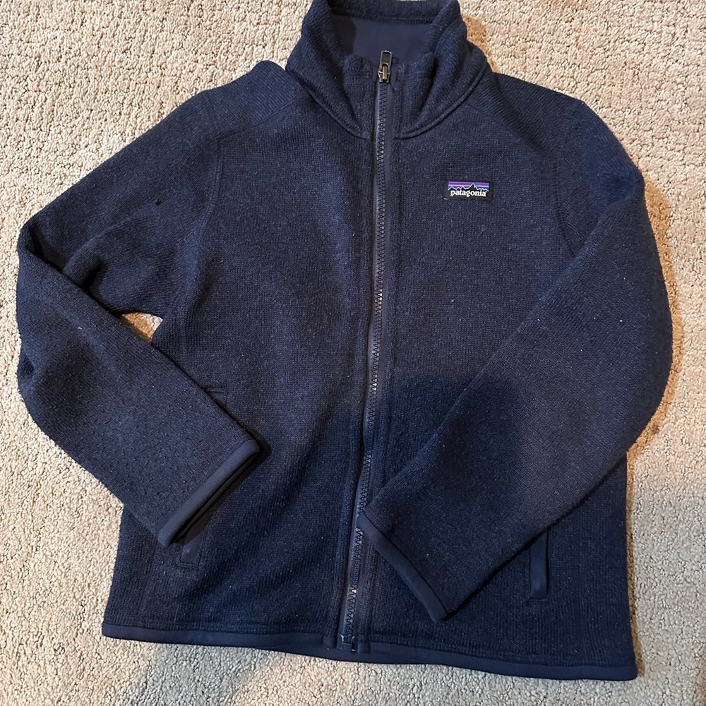 Patagonia fleece jacket